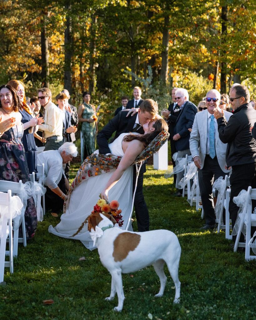 Vermont Wedding Venues | Sincerely Liz Photography Vermont Wedding Photographer | A bride and groom share a joyful kiss, surrounded by cheering guests in an outdoor wedding setting. A dog with a bouquet stands nearby on the grass.