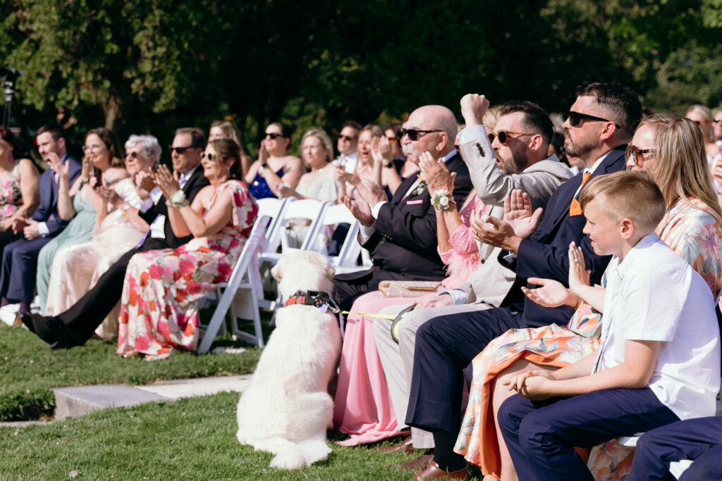 Wedding Photographer in Vermont | Sincerely Liz Photography Documentary and Editorial Wedding Photography | Guests sit and clap at an outdoor wedding ceremony. A white dog is seated on the grass near the chairs. The mood is joyful and celebratory.