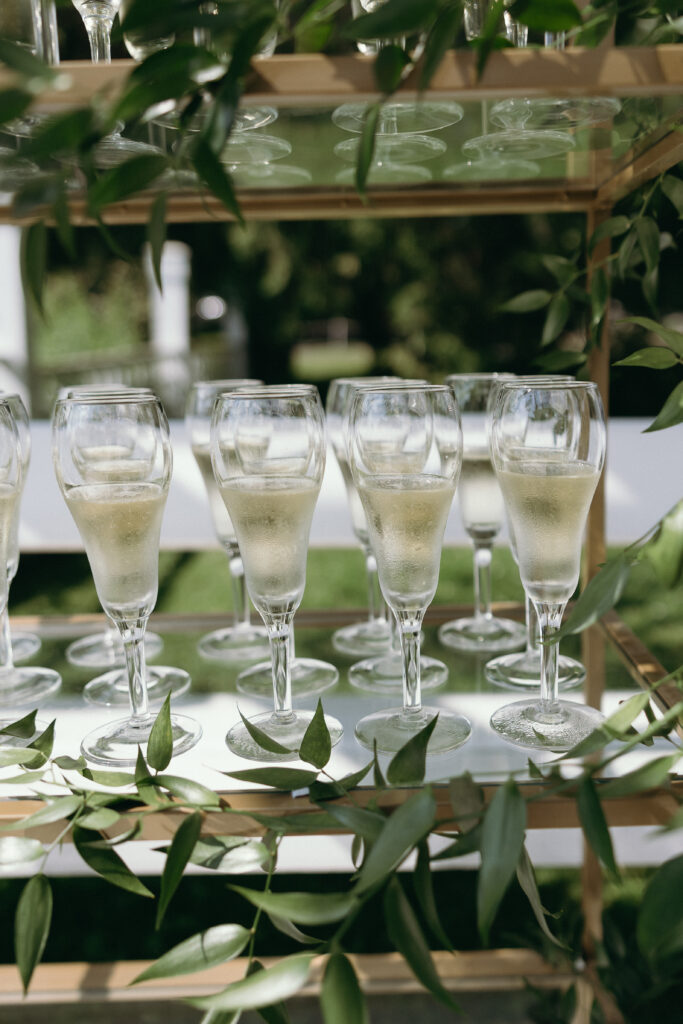 Wedding Photographer in Vermont | Sincerely Liz Photography Documentary and Editorial Wedding Photography | Rows of champagne flutes filled with bubbly on a glass shelf, adorned with green leaves. The scene feels celebratory and elegant.